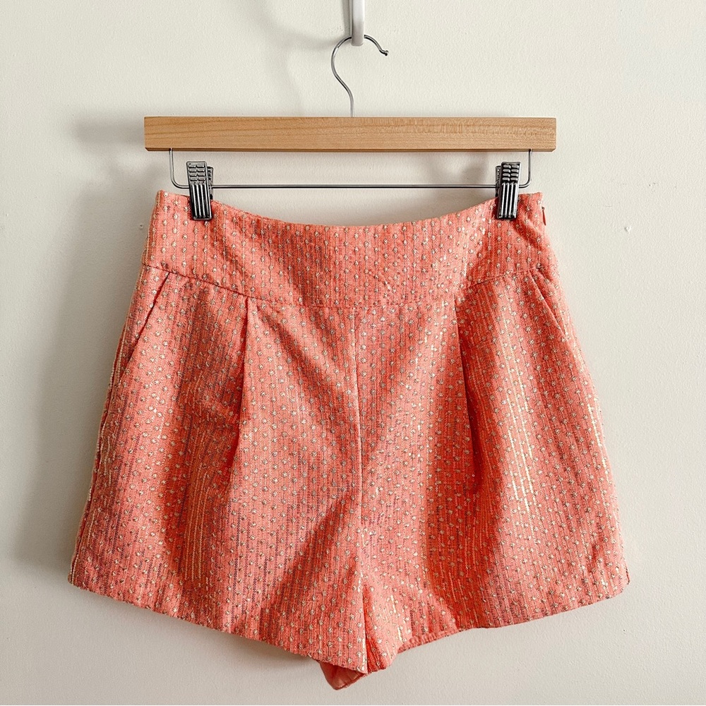 Free the Roses Medium Sequins Embroidered Shorts